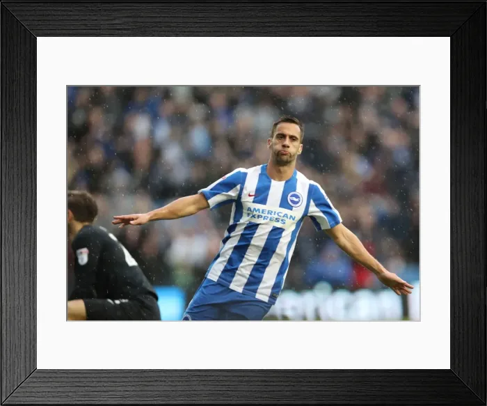 Framed Print : Brighton and Hove Albion vs. Preston North End: A Fierce EFL Sky Bet Championship Clash at the American Express Community Stadium (15OCT16) Framed Print : Brighton and Hove Albion vs. Preston North End: A Fierce EFL Sky Bet Championship Clash at the American Express Community Stadium (15OCT16)