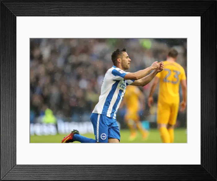 Framed Print : Brighton and Hove Albion vs. Preston North End: A Fierce EFL Sky Bet Championship Clash at the American Express Community Stadium (15OCT16) Framed Print : Brighton and Hove Albion vs. Preston North End: A Fierce EFL Sky Bet Championship Clash at the American Express Community Stadium (15OCT16)