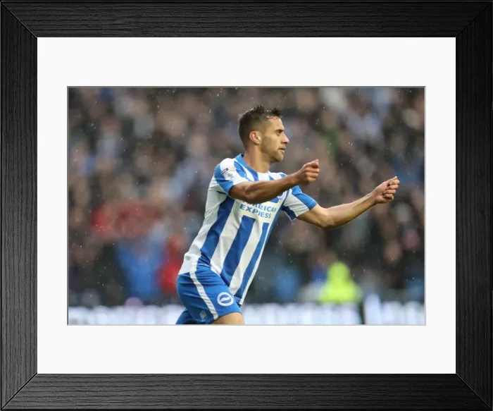 Framed Print : Brighton and Hove Albion vs. Preston North End: A Fierce EFL Sky Bet Championship Clash at the American Express Community Stadium (15OCT16) Framed Print : Brighton and Hove Albion vs. Preston North End: A Fierce EFL Sky Bet Championship Clash at the American Express Community Stadium (15OCT16)
