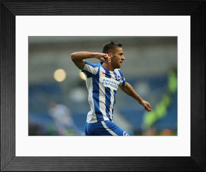 Framed Print : Brighton and Hove Albion vs. Preston North End: A Fight in the EFL Sky Bet Championship (15OCT16) Framed Print : Brighton and Hove Albion vs. Preston North End: A Fight in the EFL Sky Bet Championship (15OCT16)