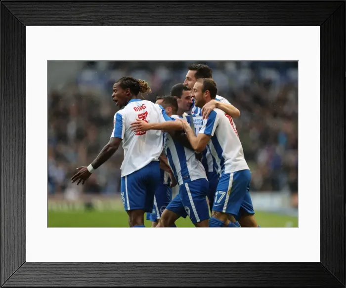 Framed Print : Brighton & Hove Albion vs. Preston North End: A Fierce EFL Sky Bet Championship Clash at the American Express Community Stadium (15OCT16) Framed Print : Brighton & Hove Albion vs. Preston North End: A Fierce EFL Sky Bet Championship Clash at the American Express Community Stadium (15OCT16)