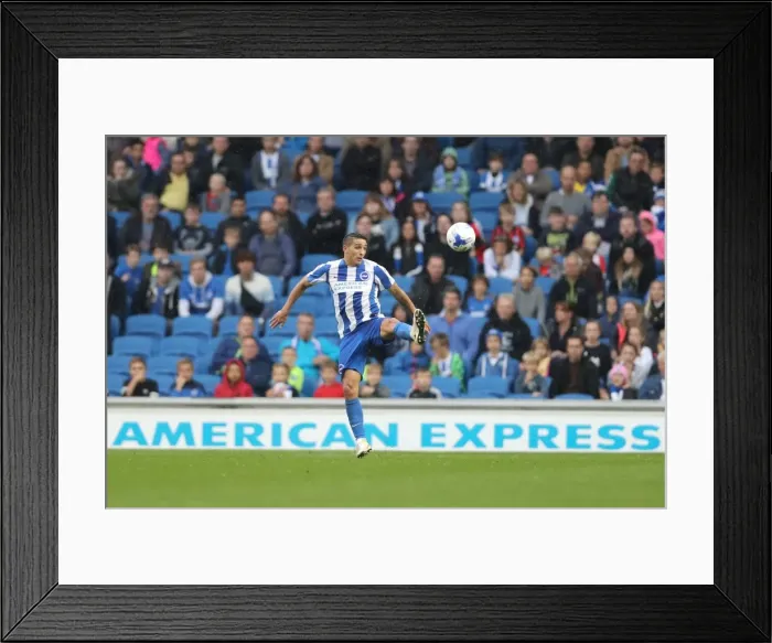 Framed Print : Brighton and Hove Albion vs. Preston North End: A Fierce EFL Sky Bet Championship Clash at American Express Community Stadium (15OCT16) Framed Print : Brighton and Hove Albion vs. Preston North End: A Fierce EFL Sky Bet Championship Clash at American Express Community Stadium (15OCT16)