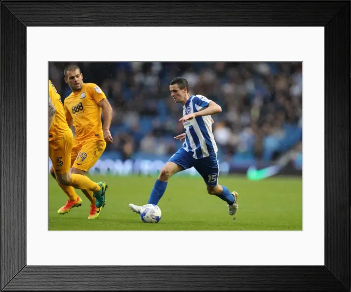 Framed Print : Brighton and Hove Albion vs. Preston North End: A Fierce EFL Sky Bet Championship Clash at the American Express Community Stadium (15OCT16) Framed Print : Brighton and Hove Albion vs. Preston North End: A Fierce EFL Sky Bet Championship Clash at the American Express Community Stadium (15OCT16)