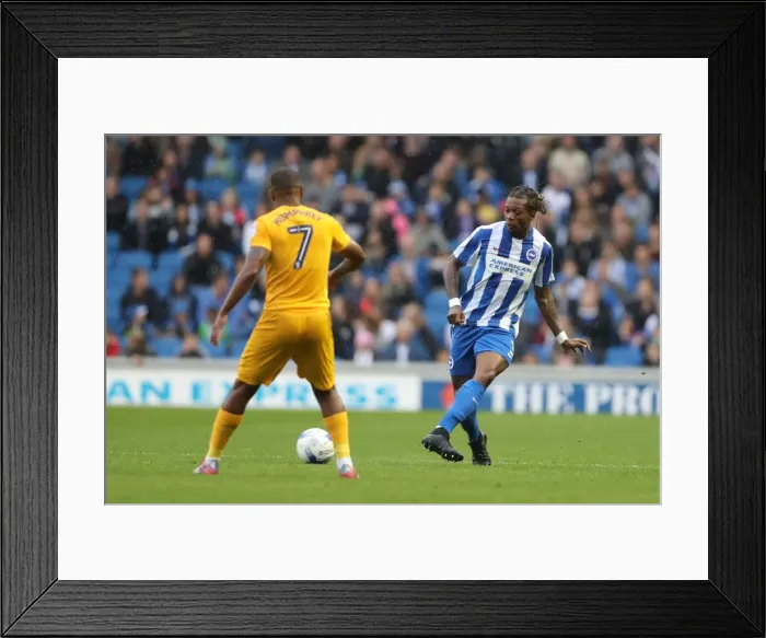 Framed Print : Brighton and Hove Albion vs. Preston North End: A Fierce EFL Sky Bet Championship Clash (15OCT16) Framed Print : Brighton and Hove Albion vs. Preston North End: A Fierce EFL Sky Bet Championship Clash (15OCT16)