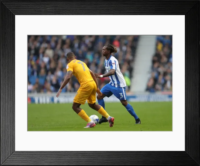 Framed Print : Brighton and Hove Albion vs. Preston North End: A Fierce EFL Sky Bet Championship Clash (15OCT16) Framed Print : Brighton and Hove Albion vs. Preston North End: A Fierce EFL Sky Bet Championship Clash (15OCT16)