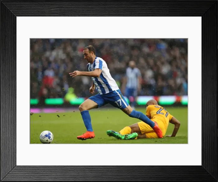 Framed Print : Brighton and Hove Albion vs. Preston North End: A Fierce EFL Sky Bet Championship Clash (15OCT16) Framed Print : Brighton and Hove Albion vs. Preston North End: A Fierce EFL Sky Bet Championship Clash (15OCT16)