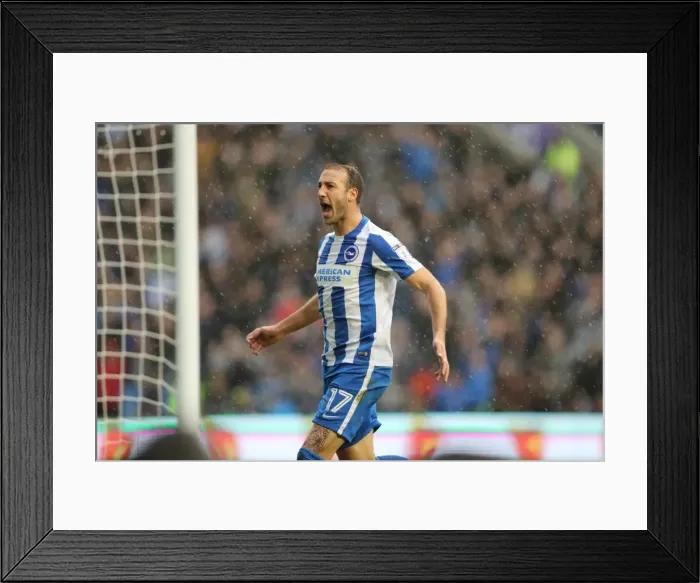 Framed Print : Brighton and Hove Albion vs. Preston North End: A Fierce EFL Sky Bet Championship Clash (15OCT16) Framed Print : Brighton and Hove Albion vs. Preston North End: A Fierce EFL Sky Bet Championship Clash (15OCT16)
