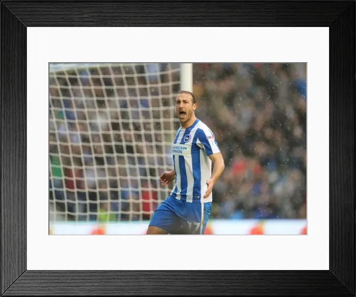 Framed Print : Brighton and Hove Albion vs. Preston North End: A Fierce EFL Sky Bet Championship Clash at the American Express Community Stadium (15OCT16) Framed Print : Brighton and Hove Albion vs. Preston North End: A Fierce EFL Sky Bet Championship Clash at the American Express Community Stadium (15OCT16)