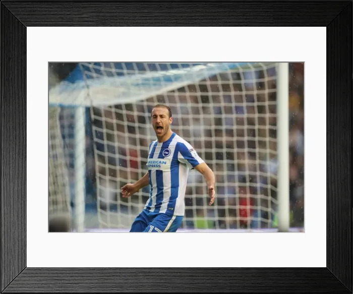 Framed Print : Brighton and Hove Albion vs. Preston North End: A Fierce EFL Sky Bet Championship Clash at the American Express Community Stadium (15OCT16) Framed Print : Brighton and Hove Albion vs. Preston North End: A Fierce EFL Sky Bet Championship Clash at the American Express Community Stadium (15OCT16)