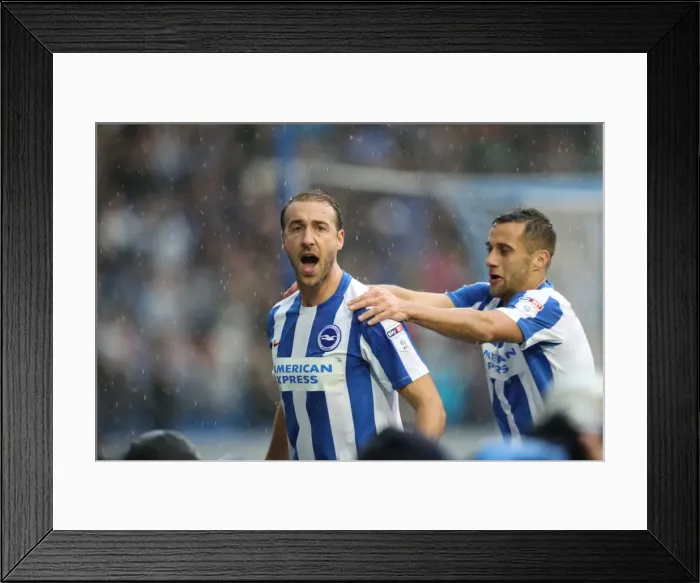 Framed Print : Brighton and Hove Albion vs. Preston North End: A Fight in the EFL Sky Bet Championship (15OCT16)