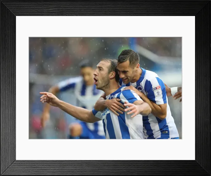 Framed Print : Brighton and Hove Albion vs. Preston North End: A Fierce EFL Sky Bet Championship Clash at the American Express Community Stadium (15OCT16) Framed Print : Brighton and Hove Albion vs. Preston North End: A Fierce EFL Sky Bet Championship Clash at the American Express Community Stadium (15OCT16)