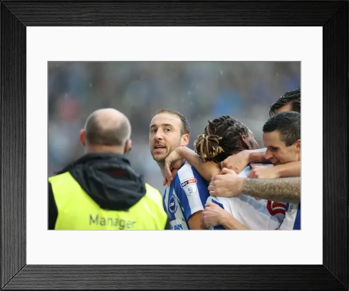 Framed Print : Brighton and Hove Albion vs. Preston North End: A Fierce EFL Sky Bet Championship Clash at American Express Community Stadium (15OCT16) Framed Print : Brighton and Hove Albion vs. Preston North End: A Fierce EFL Sky Bet Championship Clash at American Express Community Stadium (15OCT16)