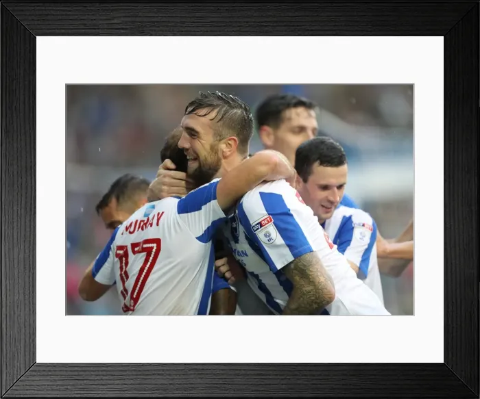 Framed Print : Brighton and Hove Albion vs. Preston North End: A Fierce EFL Sky Bet Championship Clash at the American Express Community Stadium (15OCT16) Framed Print : Brighton and Hove Albion vs. Preston North End: A Fierce EFL Sky Bet Championship Clash at the American Express Community Stadium (15OCT16)