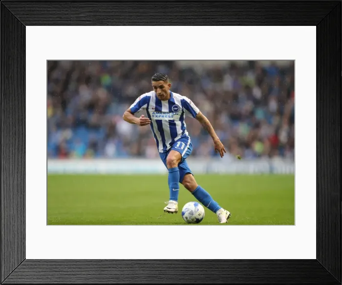Framed Print : Brighton and Hove Albion vs. Preston North End: A Fierce EFL Sky Bet Championship Clash at the American Express Community Stadium (15OCT16) Framed Print : Brighton and Hove Albion vs. Preston North End: A Fierce EFL Sky Bet Championship Clash at the American Express Community Stadium (15OCT16)
