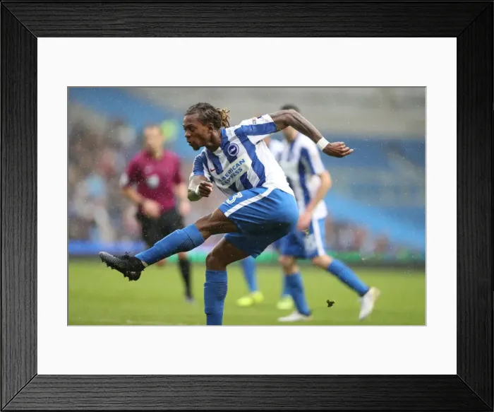 Framed Print : Brighton and Hove Albion vs. Preston North End: A Fierce EFL Sky Bet Championship Clash at the American Express Community Stadium (15OCT16) Framed Print : Brighton and Hove Albion vs. Preston North End: A Fierce EFL Sky Bet Championship Clash at the American Express Community Stadium (15OCT16)