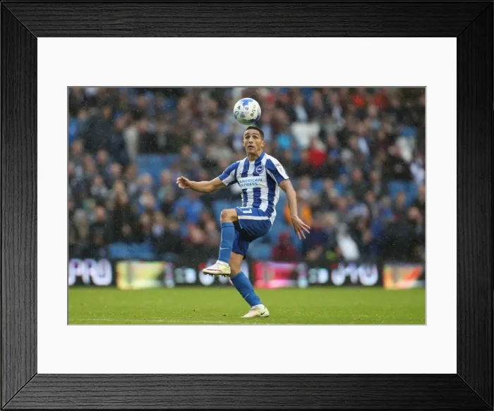 Framed Print : Brighton and Hove Albion vs. Preston North End: A Fierce EFL Sky Bet Championship Clash (15OCT16) Framed Print : Brighton and Hove Albion vs. Preston North End: A Fierce EFL Sky Bet Championship Clash (15OCT16)