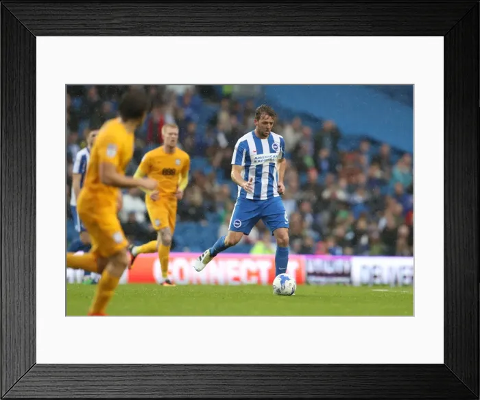 Framed Print : Brighton and Hove Albion vs. Preston North End: A Fierce EFL Sky Bet Championship Clash at the American Express Community Stadium (15OCT16) Framed Print : Brighton and Hove Albion vs. Preston North End: A Fierce EFL Sky Bet Championship Clash at the American Express Community Stadium (15OCT16)