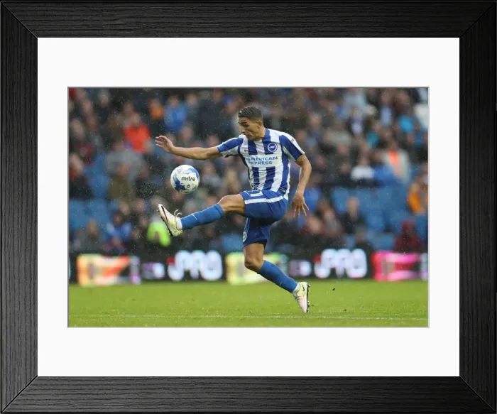 Framed Print : Brighton and Hove Albion vs. Preston North End: A Fight in the EFL Sky Bet Championship (15OCT16)