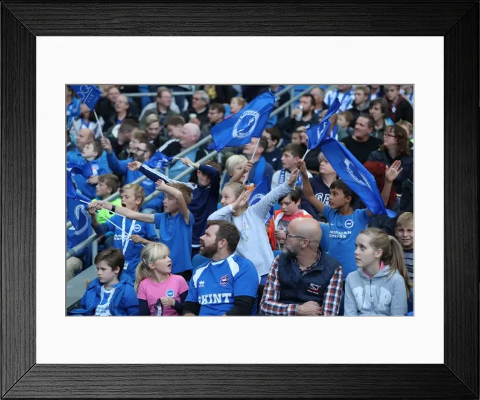 Framed Print : Brighton and Hove Albion vs. Preston North End: A Fierce EFL Sky Bet Championship Clash at the American Express Community Stadium (15OCT16) Framed Print : Brighton and Hove Albion vs. Preston North End: A Fierce EFL Sky Bet Championship Clash at the American Express Community Stadium (15OCT16)
