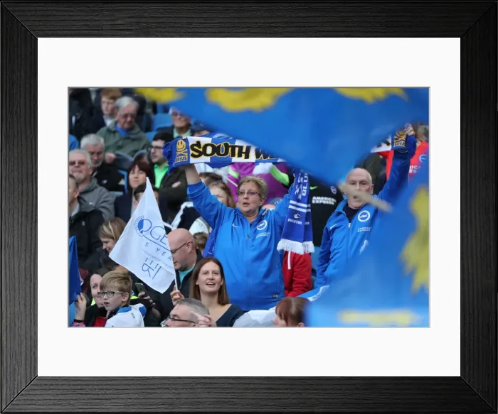 Framed Print : Brighton and Hove Albion vs. Preston North End: A Fierce EFL Sky Bet Championship Clash at the American Express Community Stadium (15OCT16)