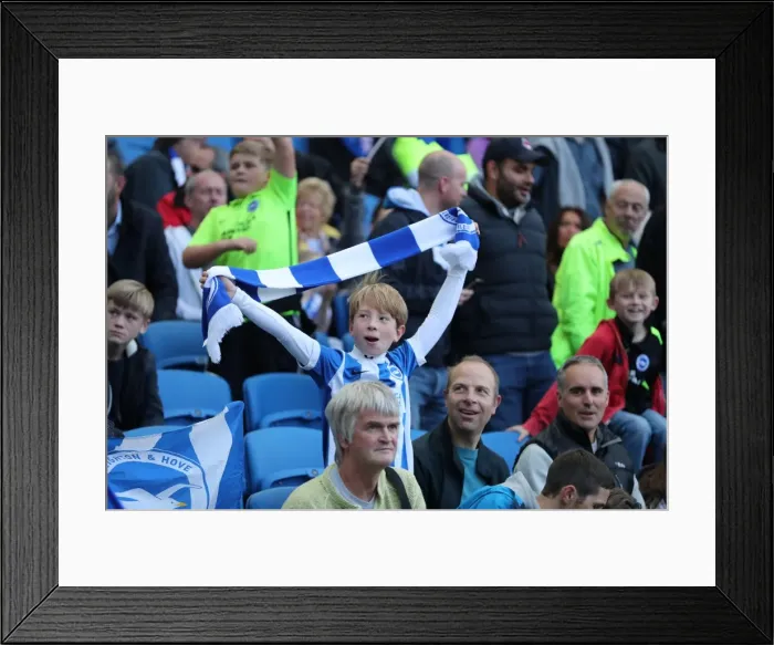 Framed Print : Brighton and Hove Albion vs. Preston North End: A Fierce EFL Sky Bet Championship Clash at the American Express Community Stadium (15OCT16) Framed Print : Brighton and Hove Albion vs. Preston North End: A Fierce EFL Sky Bet Championship Clash at the American Express Community Stadium (15OCT16)