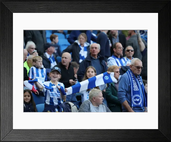 Framed Print : Brighton and Hove Albion vs. Preston North End: A Fierce EFL Sky Bet Championship Clash at the American Express Community Stadium (15OCT16) Framed Print : Brighton and Hove Albion vs. Preston North End: A Fierce EFL Sky Bet Championship Clash at the American Express Community Stadium (15OCT16)