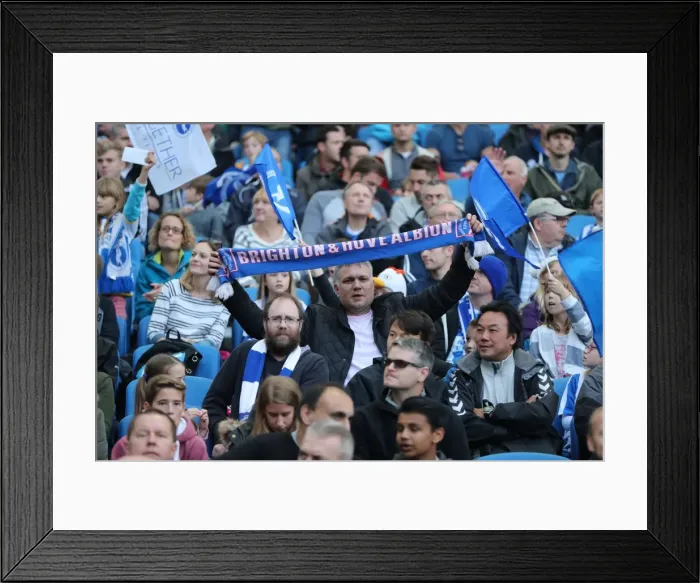 Framed Print : Brighton and Hove Albion vs. Preston North End: A Fierce EFL Sky Bet Championship Clash (15OCT16) Framed Print : Brighton and Hove Albion vs. Preston North End: A Fierce EFL Sky Bet Championship Clash (15OCT16)
