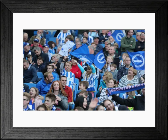 Framed Print : Brighton and Hove Albion vs. Preston North End: A Fierce EFL Sky Bet Championship Clash at the American Express Community Stadium (15OCT16) Framed Print : Brighton and Hove Albion vs. Preston North End: A Fierce EFL Sky Bet Championship Clash at the American Express Community Stadium (15OCT16)