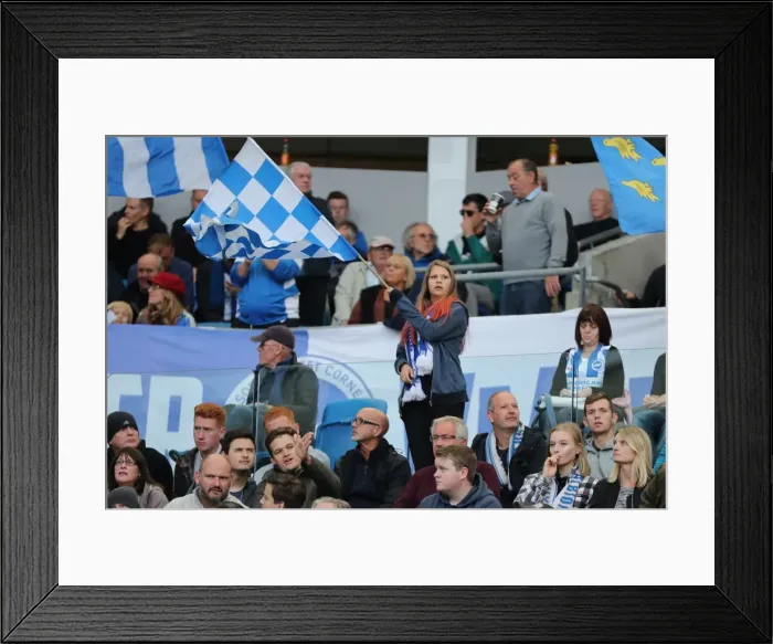 Framed Print : Brighton and Hove Albion vs. Preston North End: A Fierce EFL Sky Bet Championship Clash (15OCT16) Framed Print : Brighton and Hove Albion vs. Preston North End: A Fierce EFL Sky Bet Championship Clash (15OCT16)