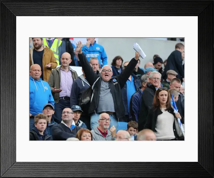Framed Print : Brighton and Hove Albion vs. Preston North End: A Fierce EFL Sky Bet Championship Clash at the American Express Community Stadium (15OCT16) Framed Print : Brighton and Hove Albion vs. Preston North End: A Fierce EFL Sky Bet Championship Clash at the American Express Community Stadium (15OCT16)