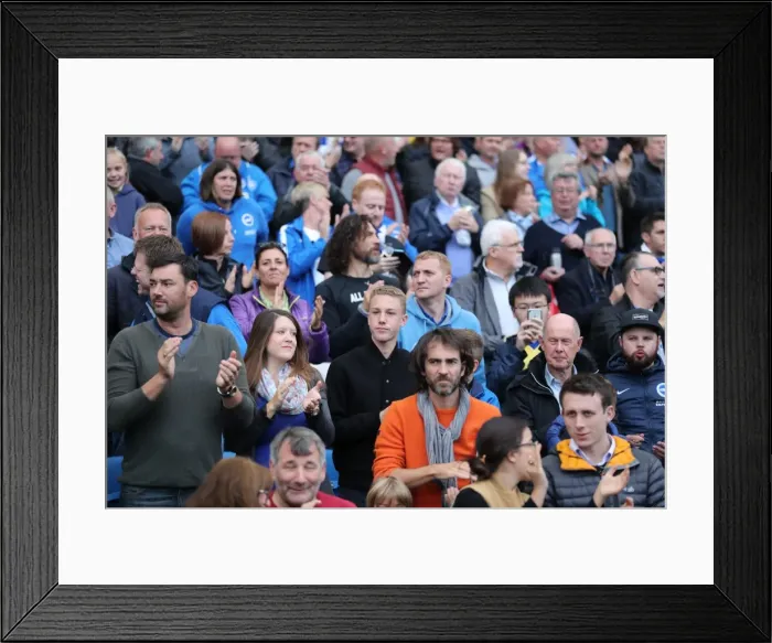 Framed Print : Brighton and Hove Albion vs. Preston North End: A Fierce EFL Sky Bet Championship Clash at the American Express Community Stadium (15OCT16) Framed Print : Brighton and Hove Albion vs. Preston North End: A Fierce EFL Sky Bet Championship Clash at the American Express Community Stadium (15OCT16)