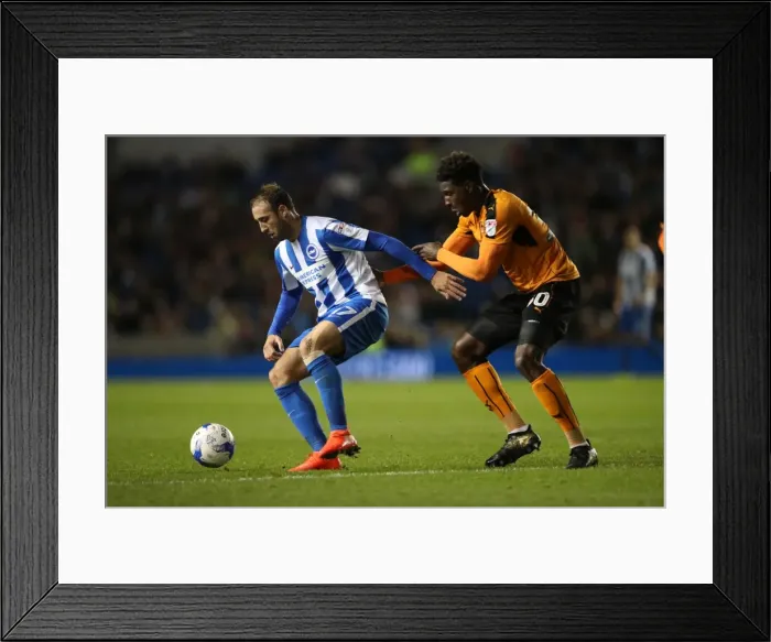 Framed Print : Brighton and Hove Albion vs. Wolverhampton Wanderers: Sky Bet Championship Showdown at American Express Community Stadium (19th October 2016) Framed Print : Brighton and Hove Albion vs. Wolverhampton Wanderers: Sky Bet Championship Showdown at American Express Community Stadium (19th October 2016)