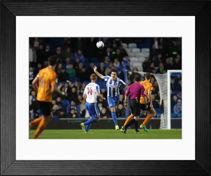 Framed Print : Brighton & Hove Albion vs. Wolverhampton Wanderers: A Championship Showdown at the American Express Community Stadium (19th October 2016) Framed Print : Brighton & Hove Albion vs. Wolverhampton Wanderers: A Championship Showdown at the American Express Community Stadium (19th October 2016)
