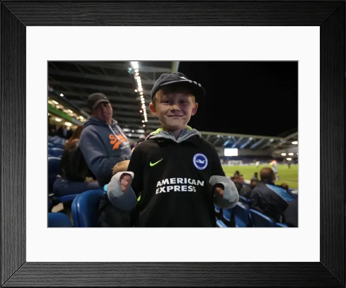 Framed Print : Brighton and Hove Albion vs. Wolverhampton Wanderers: Sky Bet Championship Clash at American Express Community Stadium (October 19, 2016) Framed Print : Brighton and Hove Albion vs. Wolverhampton Wanderers: Sky Bet Championship Clash at American Express Community Stadium (October 19, 2016)