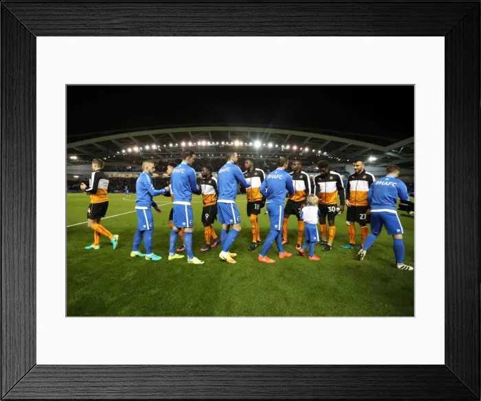 Framed Print : Brighton and Hove Albion vs. Wolverhampton Wanderers: Sky Bet Championship Showdown at American Express Community Stadium (October 19, 2016) Framed Print : Brighton and Hove Albion vs. Wolverhampton Wanderers: Sky Bet Championship Showdown at American Express Community Stadium (October 19, 2016)