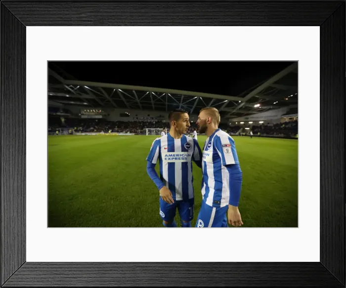 Framed Print : Brighton and Hove Albion vs. Wolverhampton Wanderers: Sky Bet Championship Showdown at American Express Community Stadium (19th October 2016) Framed Print : Brighton and Hove Albion vs. Wolverhampton Wanderers: Sky Bet Championship Showdown at American Express Community Stadium (19th October 2016)