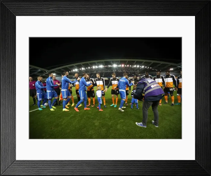 Framed Print : Brighton & Hove Albion vs. Wolverhampton Wanderers: A Championship Showdown (19th October 2016)