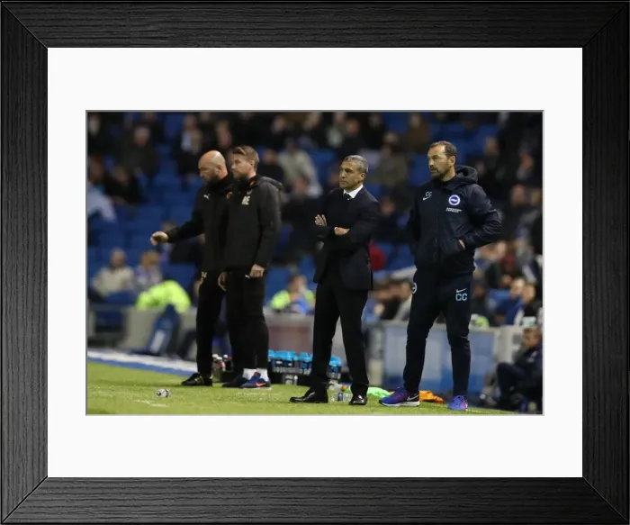 Framed Print : Brighton & Hove Albion vs. Wolverhampton Wanderers: EFL Sky Bet Championship Showdown at American Express Community Stadium (October 19, 2016) Framed Print : Brighton & Hove Albion vs. Wolverhampton Wanderers: EFL Sky Bet Championship Showdown at American Express Community Stadium (October 19, 2016)