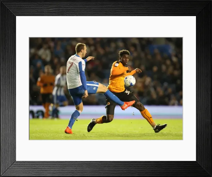Framed Print : Brighton & Hove Albion vs. Wolverhampton Wanderers: EFL Sky Bet Championship Clash at American Express Community Stadium (19th October 2016) Framed Print : Brighton & Hove Albion vs. Wolverhampton Wanderers: EFL Sky Bet Championship Clash at American Express Community Stadium (19th October 2016)