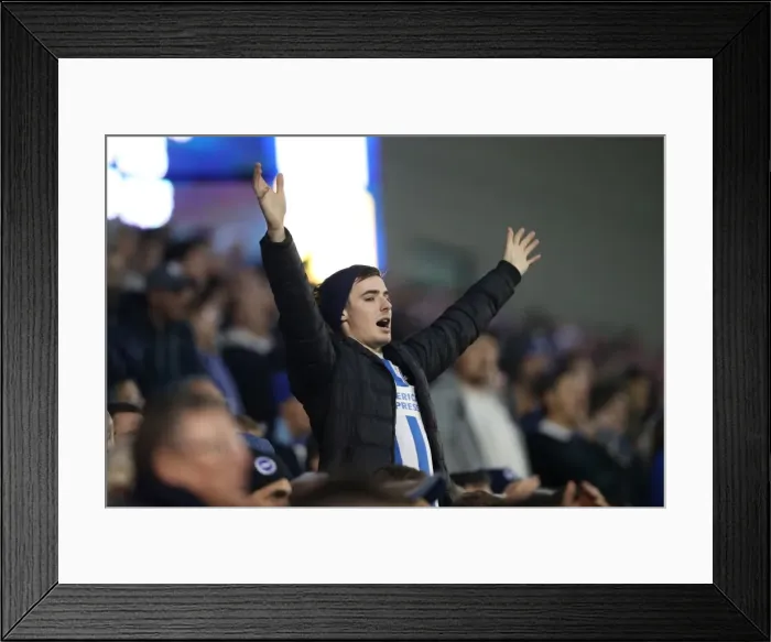 Framed Print : Brighton and Hove Albion vs. Wolverhampton Wanderers: A Championship Showdown (October 19, 2016) Framed Print : Brighton and Hove Albion vs. Wolverhampton Wanderers: A Championship Showdown (October 19, 2016)