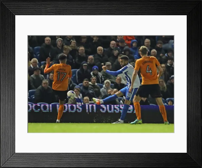 Framed Print : Brighton & Hove Albion vs. Wolverhampton Wanderers: EFL Sky Bet Championship Showdown at American Express Community Stadium (19th October 2016) Framed Print : Brighton & Hove Albion vs. Wolverhampton Wanderers: EFL Sky Bet Championship Showdown at American Express Community Stadium (19th October 2016)