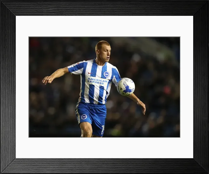 Framed Print : Brighton and Hove Albion vs. Wolverhampton Wanderers: Sky Bet Championship Clash at American Express Community Stadium (October 19, 2016) Framed Print : Brighton and Hove Albion vs. Wolverhampton Wanderers: Sky Bet Championship Clash at American Express Community Stadium (October 19, 2016)