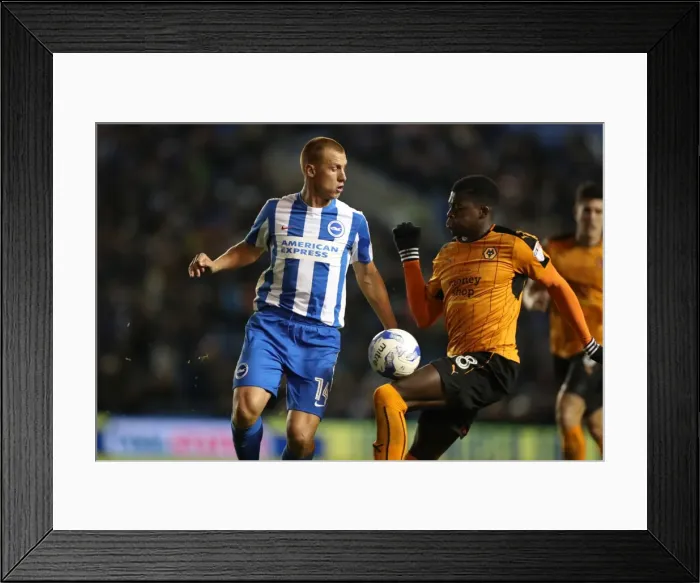 Framed Print : Brighton and Hove Albion vs. Wolverhampton Wanderers: EFL Sky Bet Championship Showdown at American Express Community Stadium (October 19, 2016)