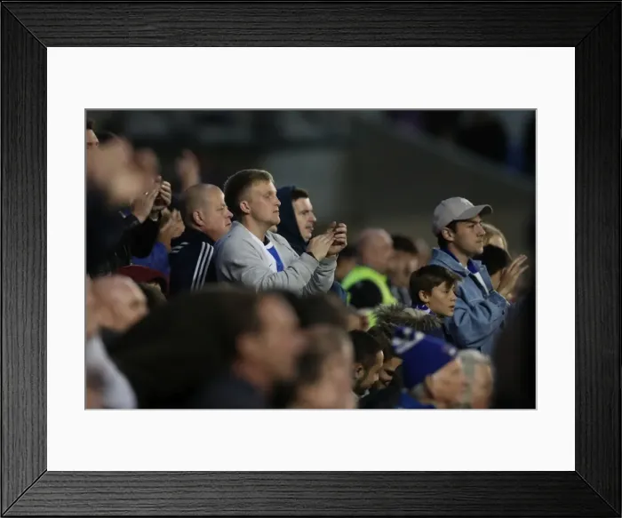 Framed Print : Brighton & Hove Albion vs. Wolverhampton Wanderers: A Championship Showdown (19th October 2016)