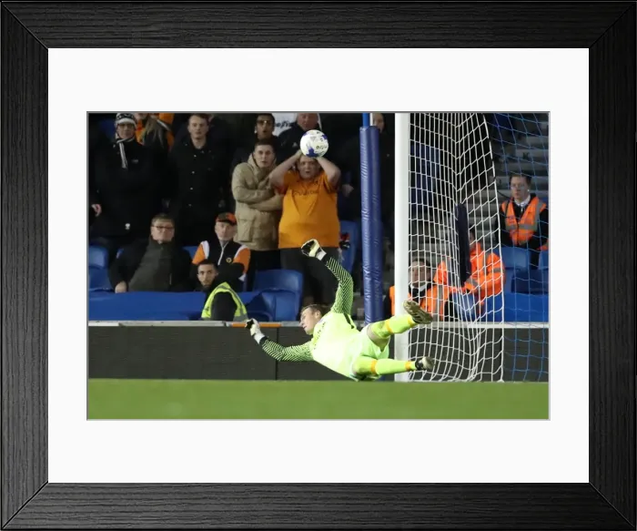 Framed Print : Brighton and Hove Albion vs. Wolverhampton Wanderers: EFL Sky Bet Championship Showdown at American Express Community Stadium (19th October 2016) Framed Print : Brighton and Hove Albion vs. Wolverhampton Wanderers: EFL Sky Bet Championship Showdown at American Express Community Stadium (19th October 2016)