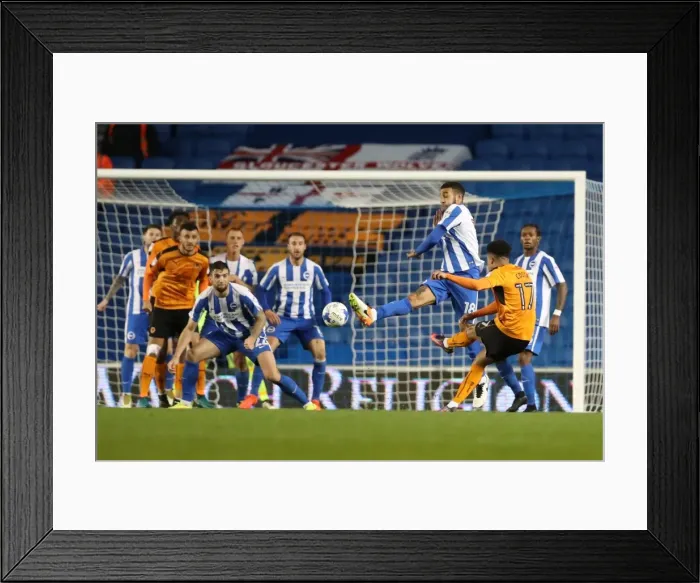 Framed Print : Brighton and Hove Albion vs. Wolverhampton Wanderers: EFL Sky Bet Championship Showdown at American Express Community Stadium (19th October 2016)