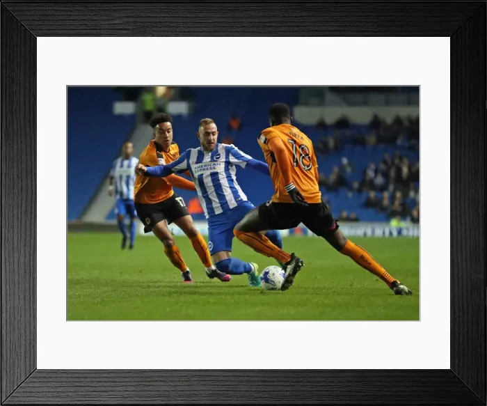 Framed Print : Brighton and Hove Albion vs. Wolverhampton Wanderers: Sky Bet Championship Showdown at American Express Community Stadium (19th October 2016) Framed Print : Brighton and Hove Albion vs. Wolverhampton Wanderers: Sky Bet Championship Showdown at American Express Community Stadium (19th October 2016)