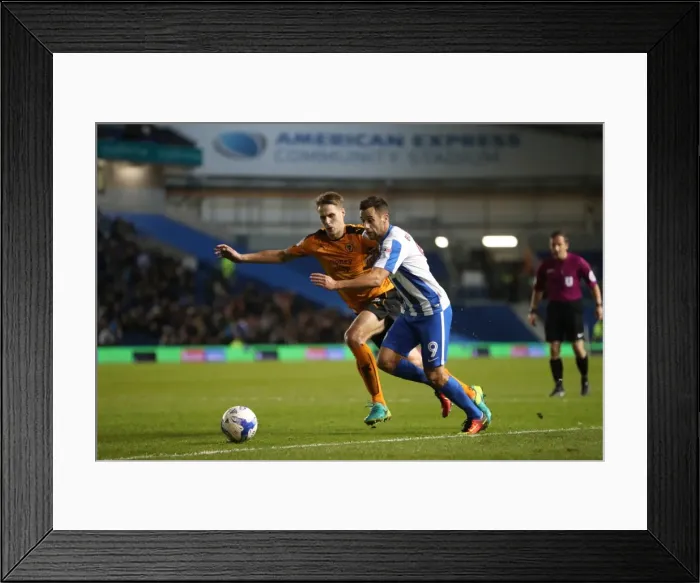 Framed Print : Brighton and Hove Albion vs. Wolverhampton Wanderers: EFL Sky Bet Championship Showdown at American Express Community Stadium (19th October 2016) Framed Print : Brighton and Hove Albion vs. Wolverhampton Wanderers: EFL Sky Bet Championship Showdown at American Express Community Stadium (19th October 2016)