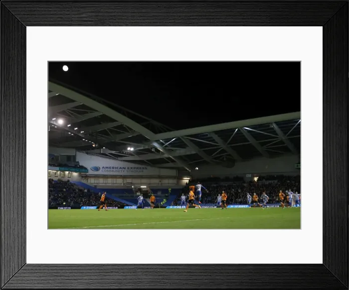 Framed Print : Brighton and Hove Albion vs. Wolverhampton Wanderers: A Championship Showdown (October 19, 2016)