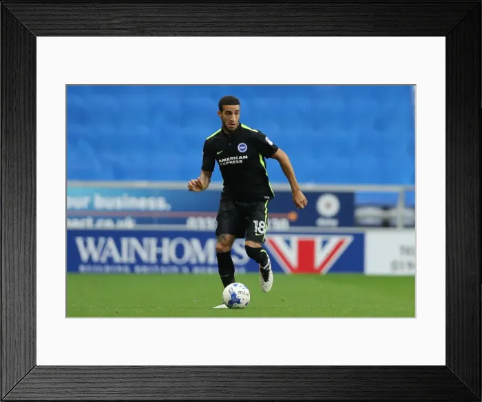 Framed Print : Brighton and Hove Albion vs. Wigan Athletic: Sky Bet Championship Showdown at DW Stadium (22 / 10 / 2016) Framed Print : Brighton and Hove Albion vs. Wigan Athletic: Sky Bet Championship Showdown at DW Stadium (22 / 10 / 2016)